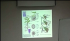 식물분자생리학