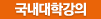국내대학강의
