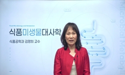 연관 공개강의(KOCW)