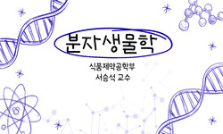 연관 공개강의(KOCW)
