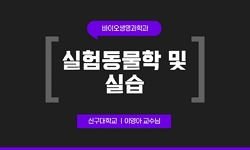 연관 공개강의(KOCW)