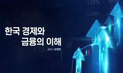 한국경제와금융의이해